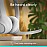 Logitech Zone 300 Wireless Bluetooth Over Ear Headset with Noise-Cancelling Microphone, Compatible with Windows, Mac, Chrome, Linux, iOS,iPados, Android - White