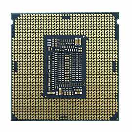 Intel Core i3-8100 8th Generation Processor (3.60 GHz/LGA1151 Socket/Quad Core)